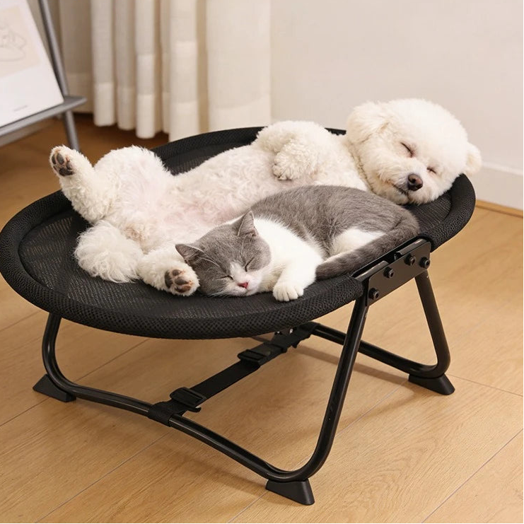 Dyra Elevated Foldable Pet beds for Cats and Dogs.