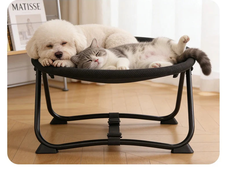 Dyra Elevated Foldable Pet beds for Cats and Dogs.